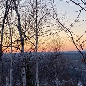 Meet your Posher, Isabella